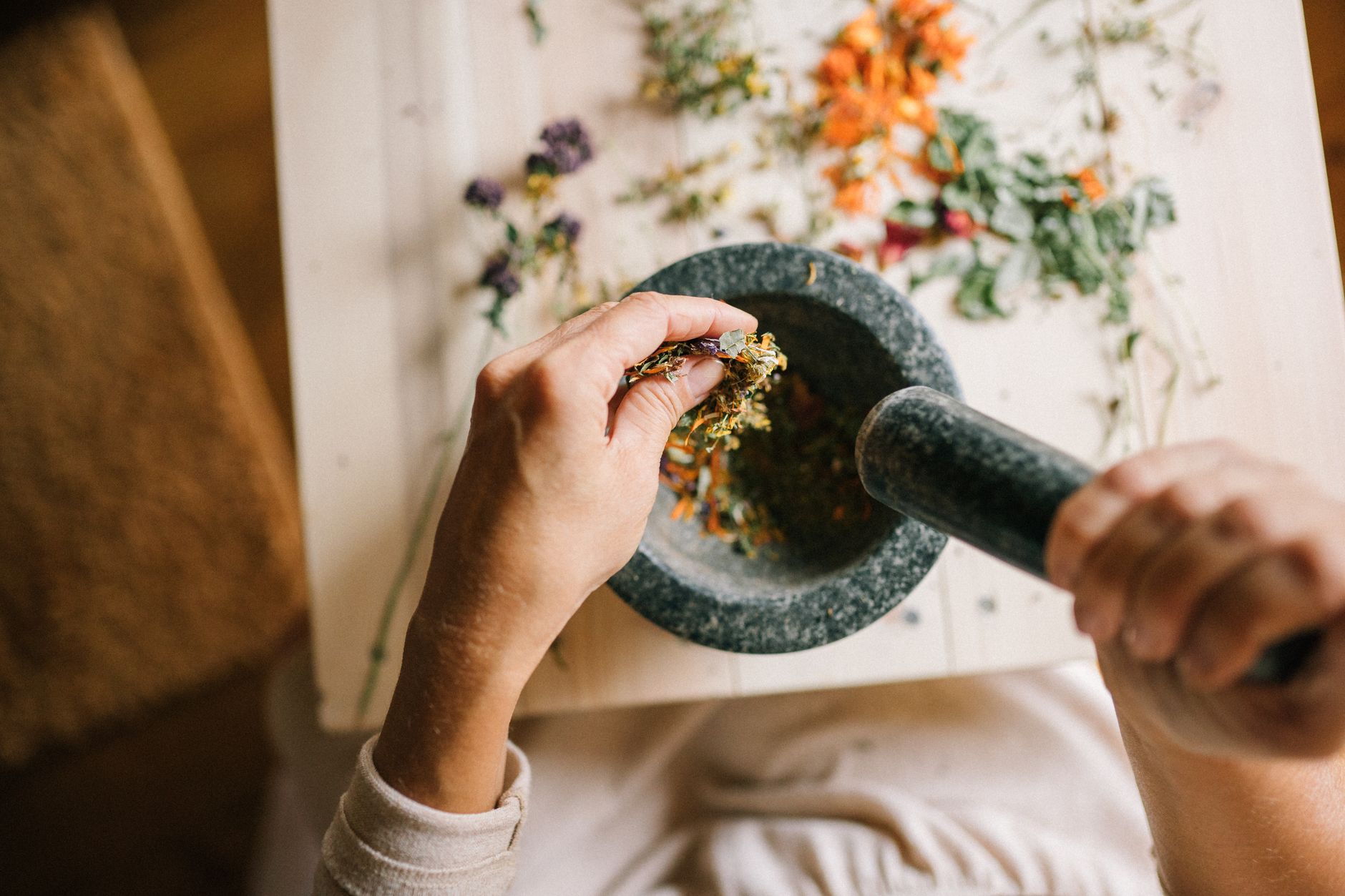 Naturopathe Champigny-sur-Marne